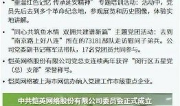 淄博负面新闻爆料事件,真相与反思的交织