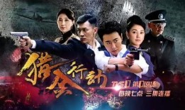 猎金行动电视剧全集在线观看,揭秘金融犯罪背后的惊心动魄！